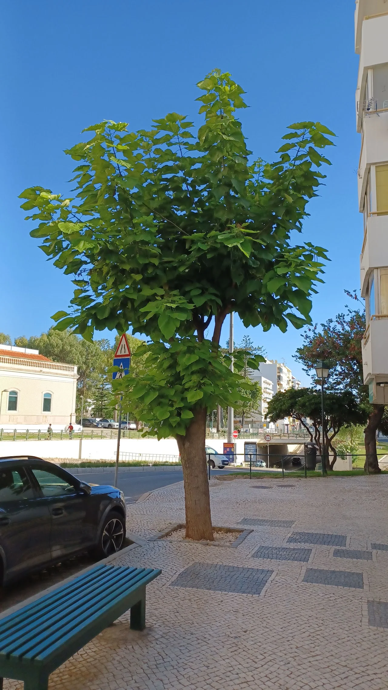 O Nauta - Escola de Navegação de Recreio Lda